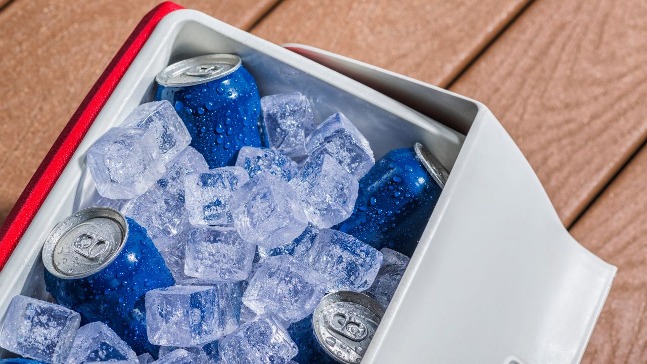 How to Choose a Cooler Box Manufacturer?- 5 Tips To Consider