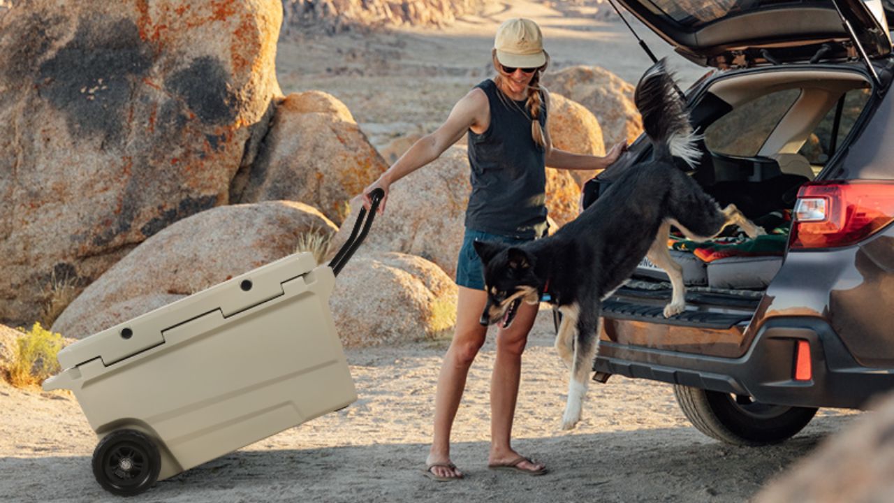 Key Benefits of Buying Ice Coolers Directly from Everich