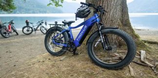 Battery Guide: Ebike Battery 48V and Other Options