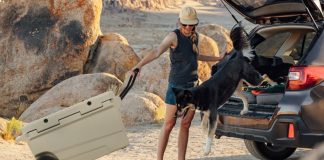 Key Benefits of Buying Ice Coolers Directly from Everich